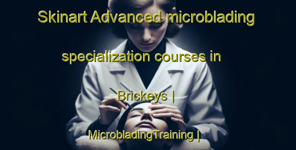 Skinart Advanced microblading specialization courses in Brickeys | MicrobladingTraining | MicrobladingClasses | SkinartTraining-United States